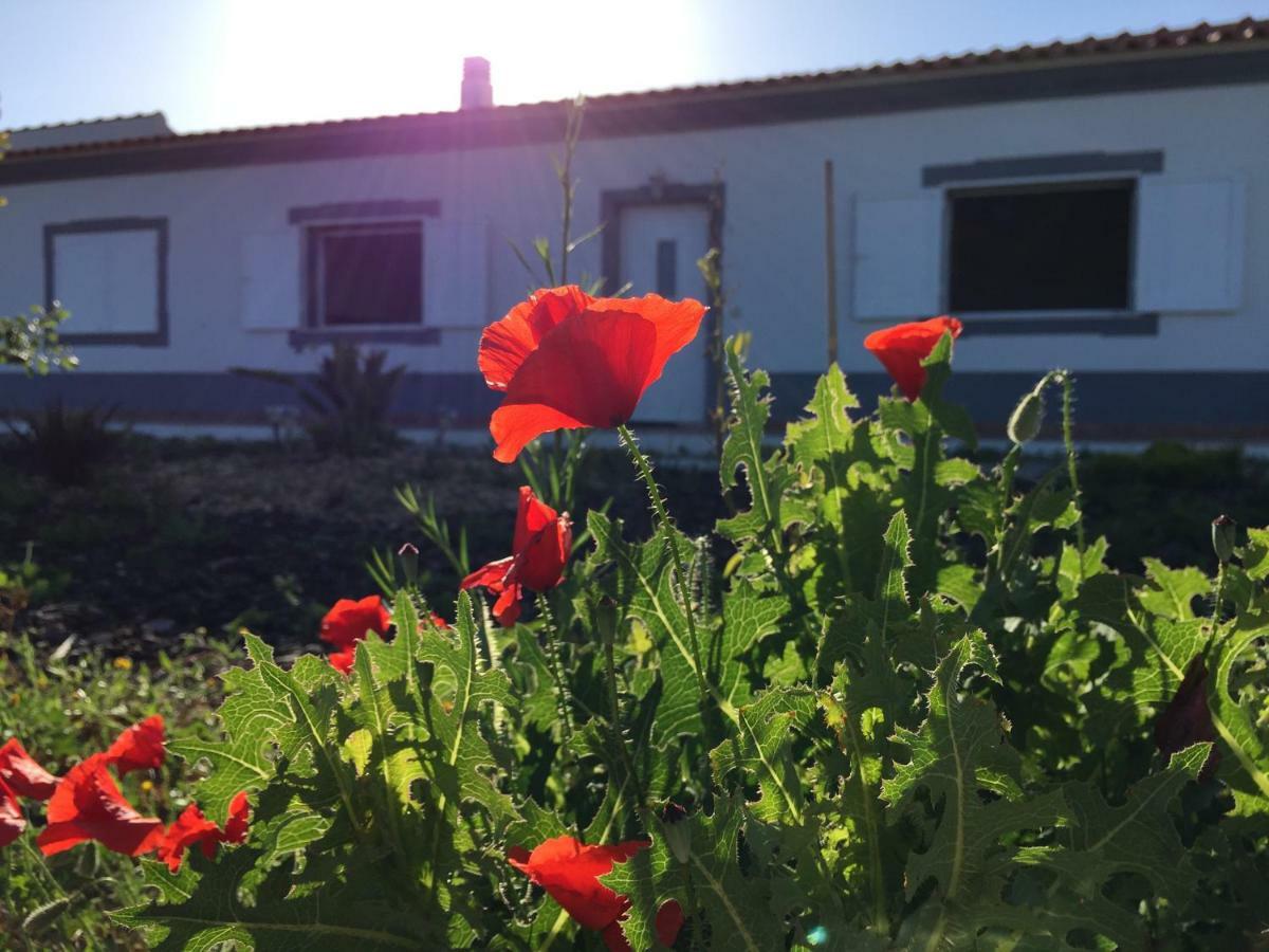 Solar Da Cotovia Villa Албуфейра Екстериор снимка